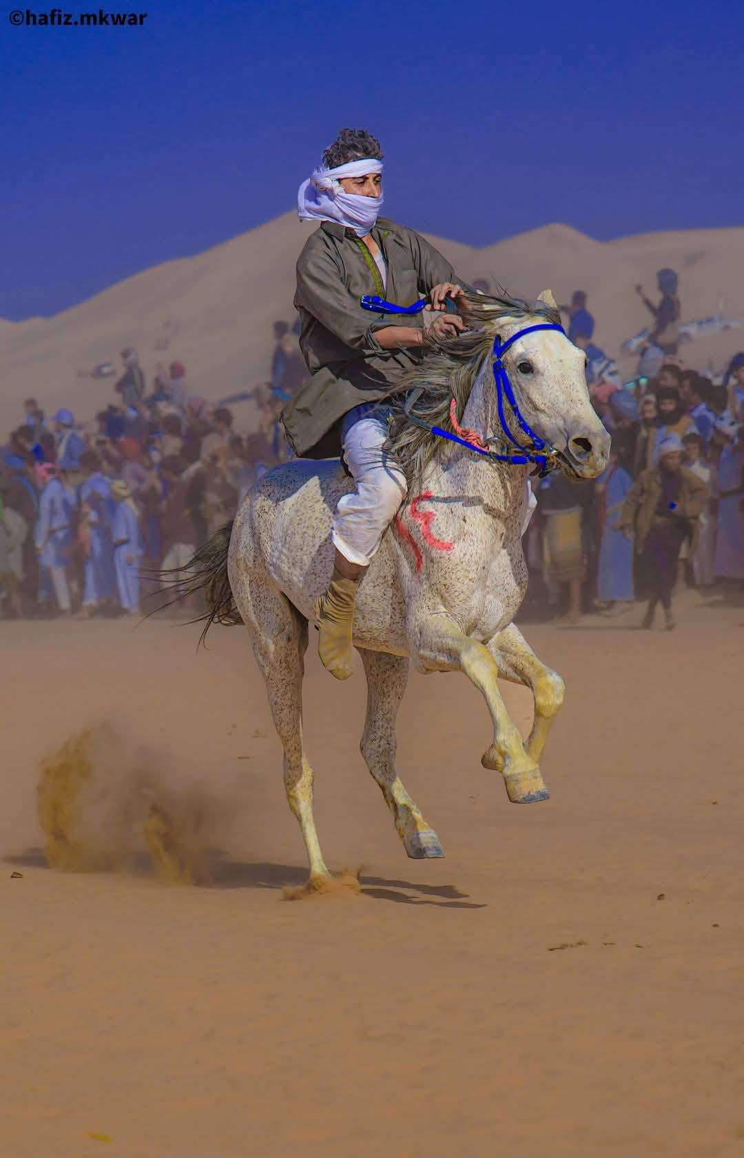 اختتام المهرجان السنوي للتراث وسباق الهجن والفروسية في شبوة