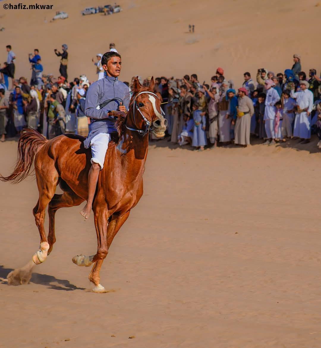 اختتام المهرجان السنوي للتراث وسباق الهجن والفروسية في شبوة