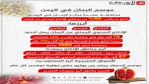 موسم الرمان في اليمن