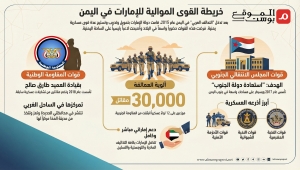 مليشيا الإمارات في اليمن