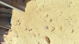 باخرة تحمل قمحًا "متعفنًا" تابعة لبرنامج الغذاء العالمي تفرغ حمولتها كمساعدات بميناء عدن (وثيقة)