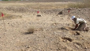 انتزاع 1.307 لغماً للحوثيين خلال أسبوع في اليمن