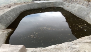 مأرب.. وفاة أربع فتيات غرقًا بحاجز مائي