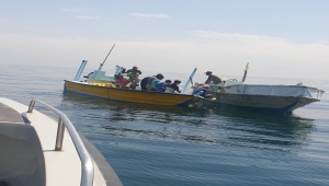 عمان تلقي القبض على 6 يمنيين أثناء محاولتهم دخول السلطنة بطريقة غير مشروعة