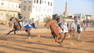 انطلاق تصفيات مهرجان مأرب للفروسية للعام 2025م احتفاء بأعياد الثورة
