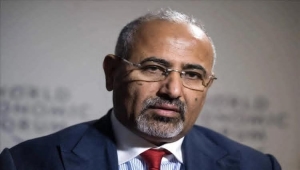 الزبيدي نفذ ثلاثية التهريب الإماراتي في اليمن