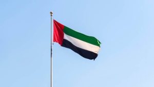 الإمارات: نحن في حالة دفاع عن النفس ونرفض الانجرار للصراع والتصعيد