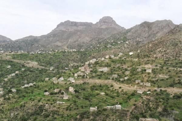 تعز : مليشيا الحوثي والمخلوع تعدم 7 من عناصرها بسبب خلافات داخلية