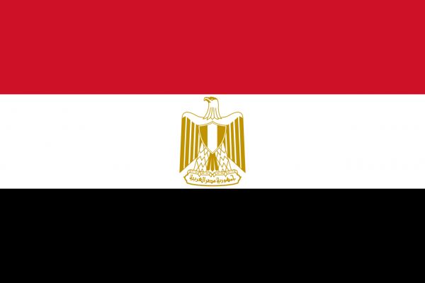 مصر تعبر عن خيبة أملها من تقرير المفوض السامي الخاص باليمن