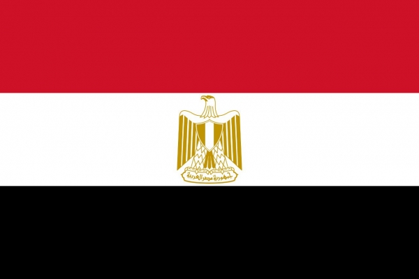 مصر تؤكد عزمها على اتخاذ الاجراءات اللازمة لإدانة اسرائيل امام محكمة العدل