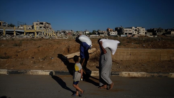 فلسطينيون عن توزيع المساعدات الأمريكية بغزة: فوضى وقتل وإذلال