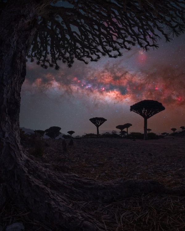 صور عن جزيرة 