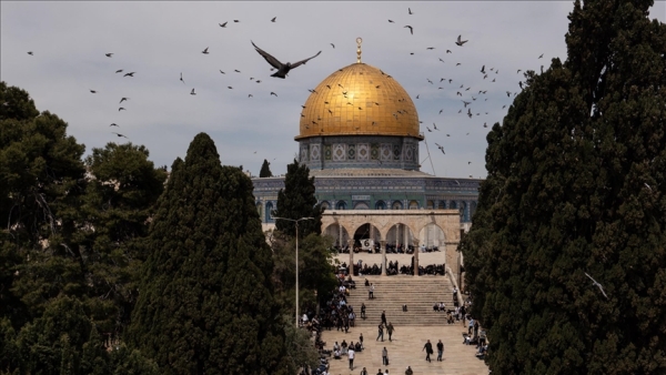 15 دولة غربية تطلق نداء جماعيا للاعتراف بدولة فلسطين