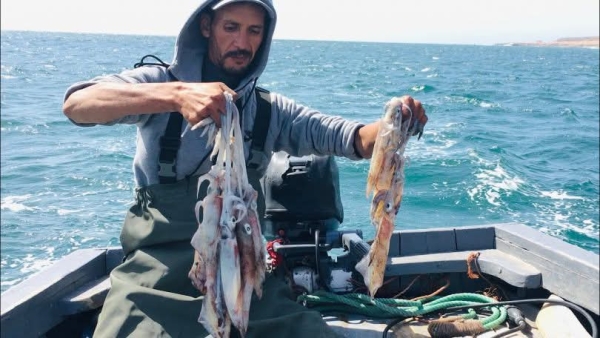 الحوثيون يعلنون فتح موسم اصطياد 