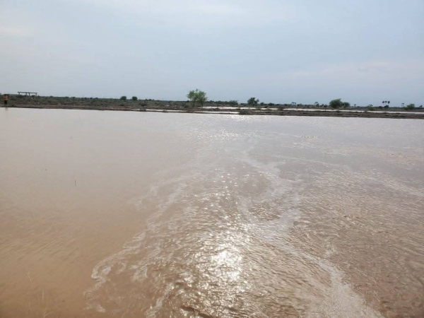 وفاة طفلة غرقاً في محافظة إب