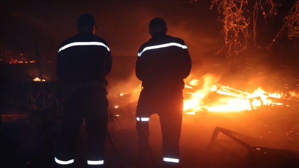 الجزائر.. حرائق غابات تزامنا مع حرارة مرتفعة ورياح جافة