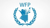 برنامج الأغذية العالمي يعلن تعليق أنشطته في قطاع غزة
